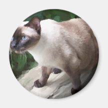 Siamese in Nature Refrigerator Magnets