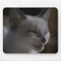 Siamese Kitten Meow Mousepad