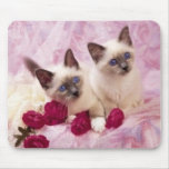 siamese kittens mousepads