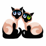 Siamese Love photo sculptures