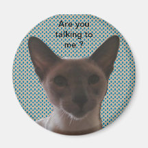 Siamese Silly Cat Refrigerator Magnet