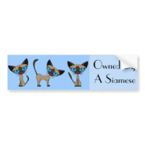 Siamese Times Three