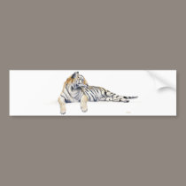 Siberian/ / Bengal Tiger bumper stickers