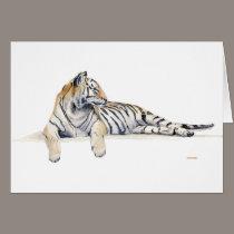 Siberian/ / Bengal Tiger cards