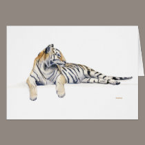 Siberian / Bengal Tiger cards