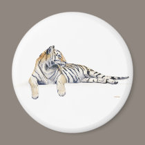 Siberian / Bengal Tiger magnets