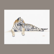 Siberian/ / Bengal Tiger postcards