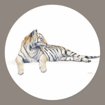 Siberian / Bengal Tiger stickers