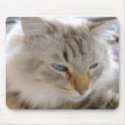 Siberian cat Luka mousepads