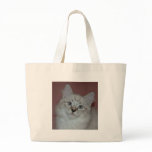 Siberian Colorpoint Kitten on products bags