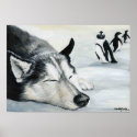 "Siberian Huskey's Penquin Dream" Dog Art Poster posters