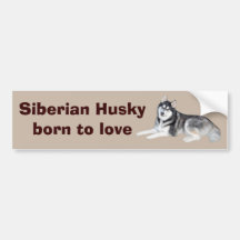 Siberian Husky Beautiful Bumper Sticker