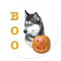 Siberian Husky (black) Boo stickers