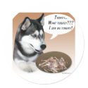 Siberian Husky (black) Turkey stickers