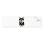 Siberian Husky bumper stickers