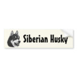 Siberian Husky bumper stickers