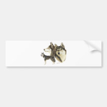 Siberian Husky Bumper Sticker