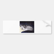 Siberian Husky Bumper Stickers