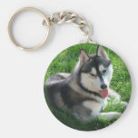 Siberian Husky Dog Keychain