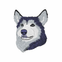 Siberian Husky