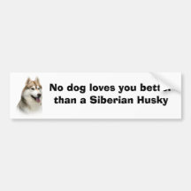 Siberian Husky Gorgeous Bumper Sticker