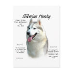 Siberian Husky History Design postcards