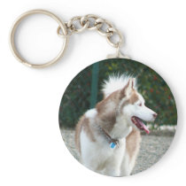 Siberian Husky keychain