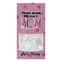 Siberian Husky MOM