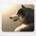 Siberian Husky Mousepad Gifts Malamute Sled Dogs