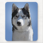 Siberian Husky Mousepad Gifts Malamute Sled Dogs