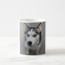 Siberian Husky Mugs