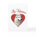 Siberian Husky My Valentine cards