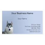 Siberian Husky on Blue Background Business Cards