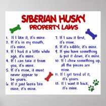 SIBERIAN HUSKY PL2