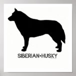 Siberian Husky Print