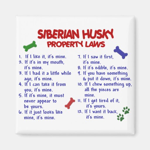 SIBERIAN HUSKY Property Laws 2 Fridge Magnets