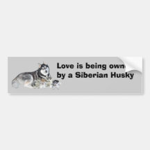 Siberian Husky & Puppies Bumper Sticker