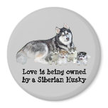 Siberian Husky & Puppies Magnet