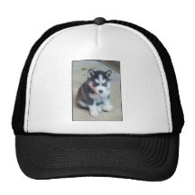 Siberian Husky puppy art Hat