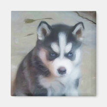 Siberian Husky puppy art Magnet