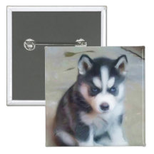Siberian Husky puppy art Pinback Button
