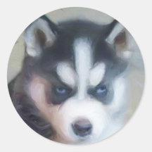 Siberian Husky puppy art Round Stickers