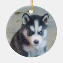 Siberian husky puppy ornament