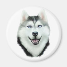 Siberian Husky Refrigerator Magnets