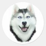Siberian Husky Round Stickers