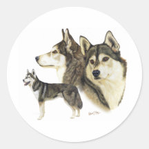 Siberian Husky Stickers