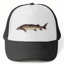 Siberian Sturgeon Hat