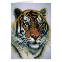 Siberian Tiger head Greeting Cards
