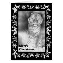 Siberian Tiger in the Snow Christmas Card