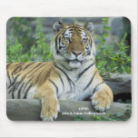 Siberian Tiger mousepads